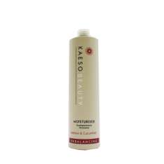 Kaeso Rebalancing Moisturizer 495 ml.
